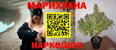 молекула духа Гатчина