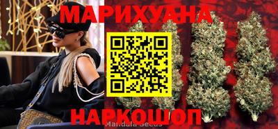 спиды Гагарин