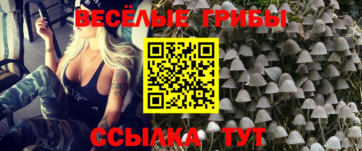 Гурьевск  Галлюциногенные грибы MAGIC MUSHROOMS  Вход с VPN 