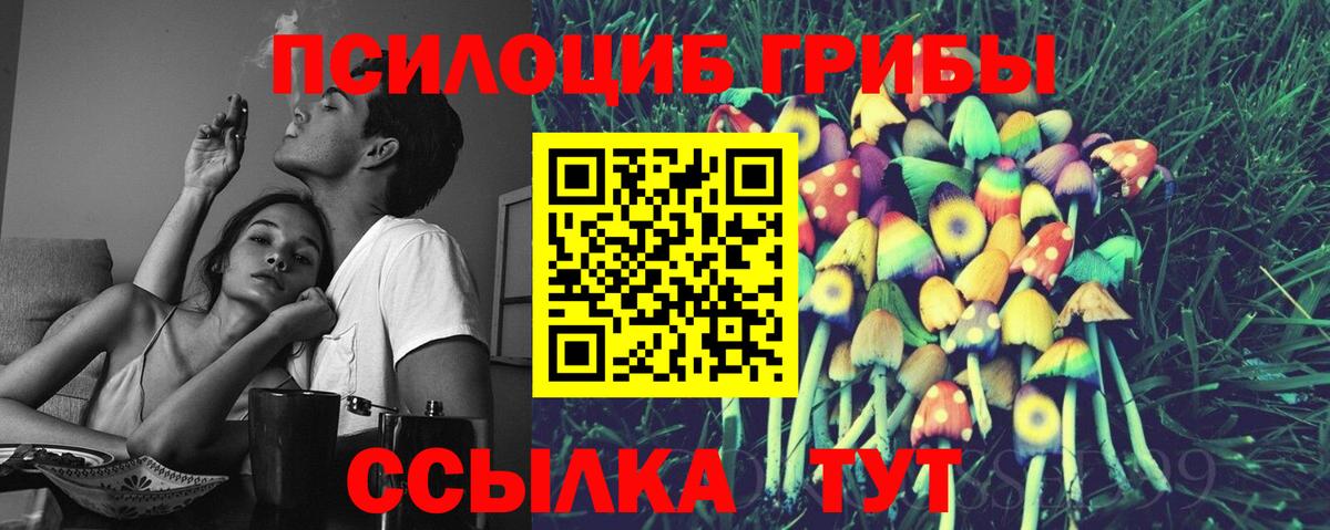 Псилоцибиновые грибы Cubensis Гурьевск